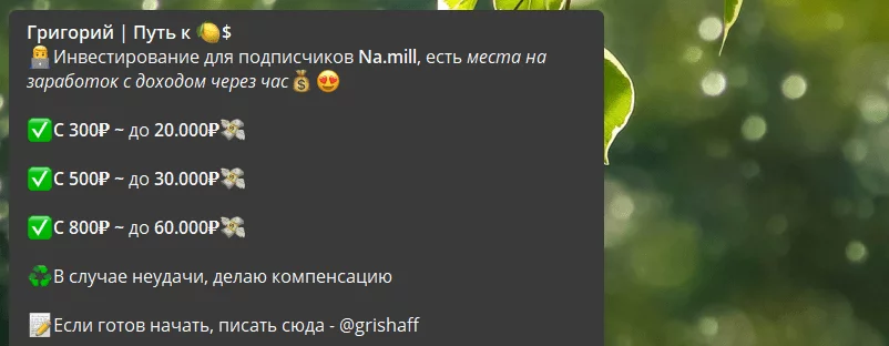Варианты для инвесторов
