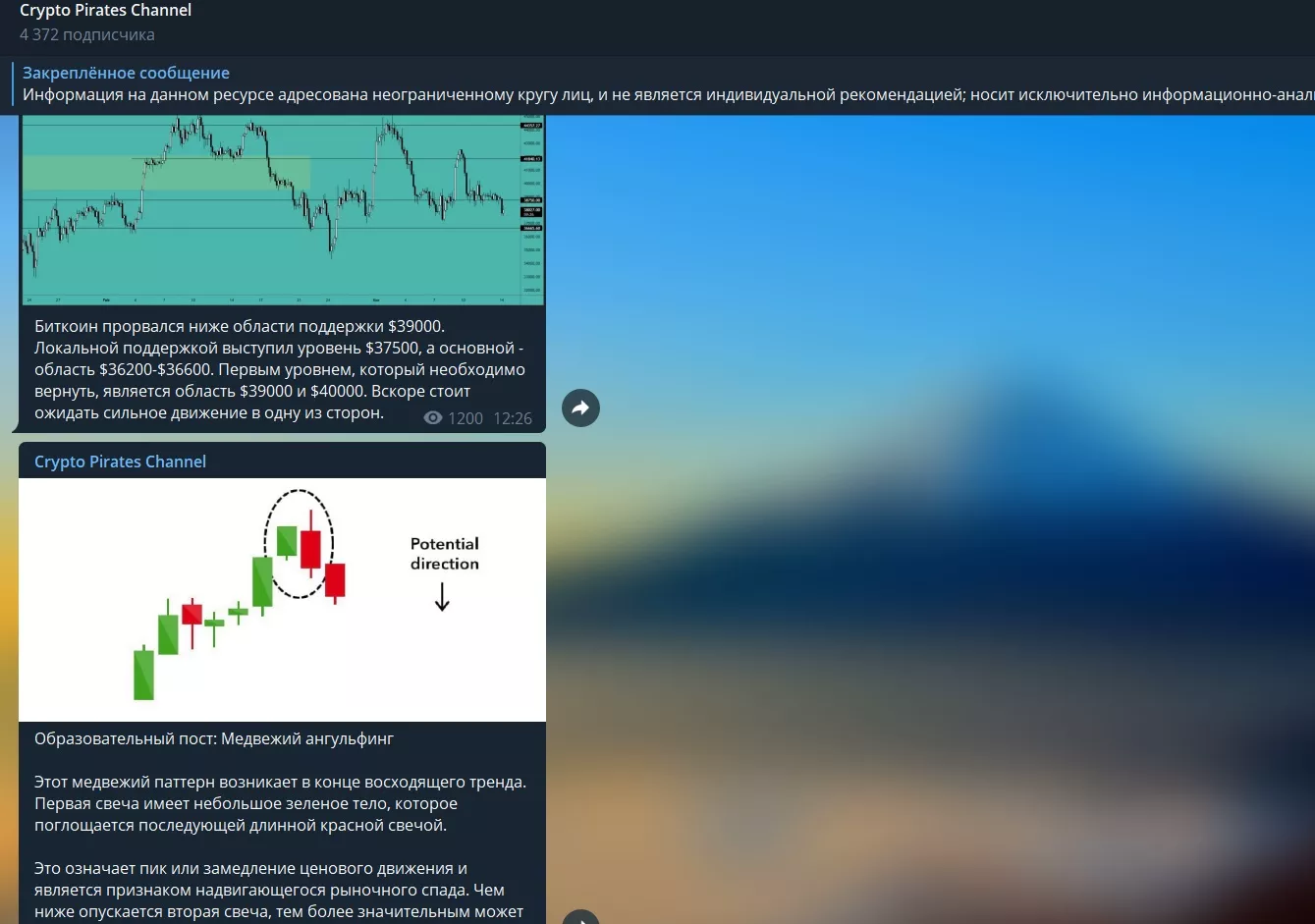 Информация на канале Crypto Pirates Channel