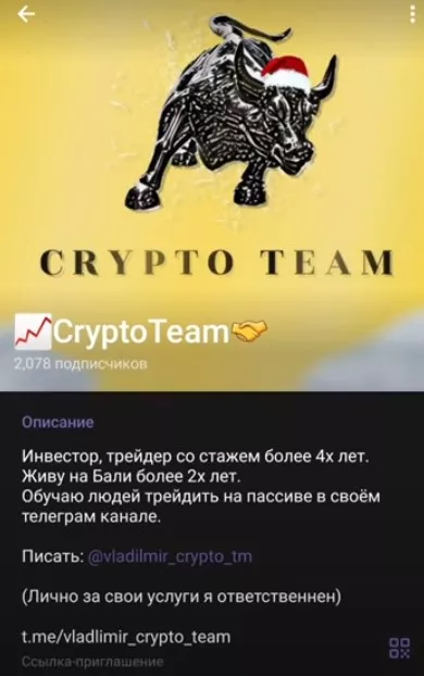 Проект CryptoTeam Владимира Немирова