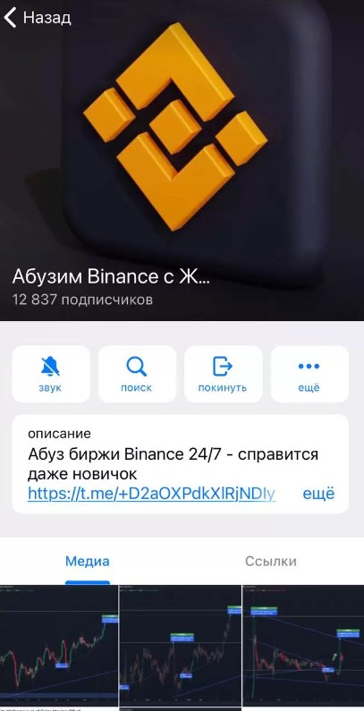 ИНформация о канале Абузим Binance с Жекой в Telegram