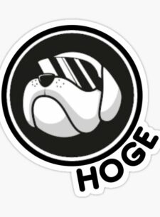 Mонета Hoge