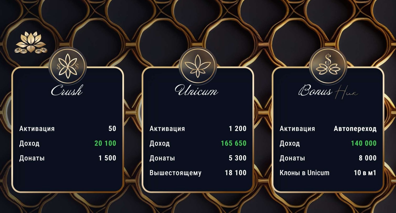 Работа проекта Lotus Money