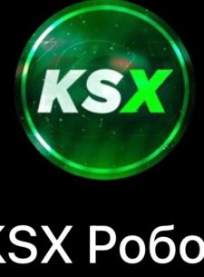 Проект KSX Робот