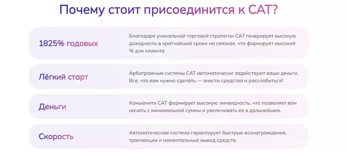 Условия в Mycat Team