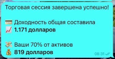 Алишер Сулейманов Телеграм доходность