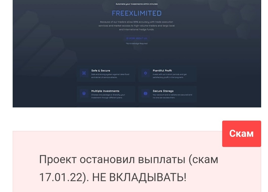 отзывы о проекте Freex.biz