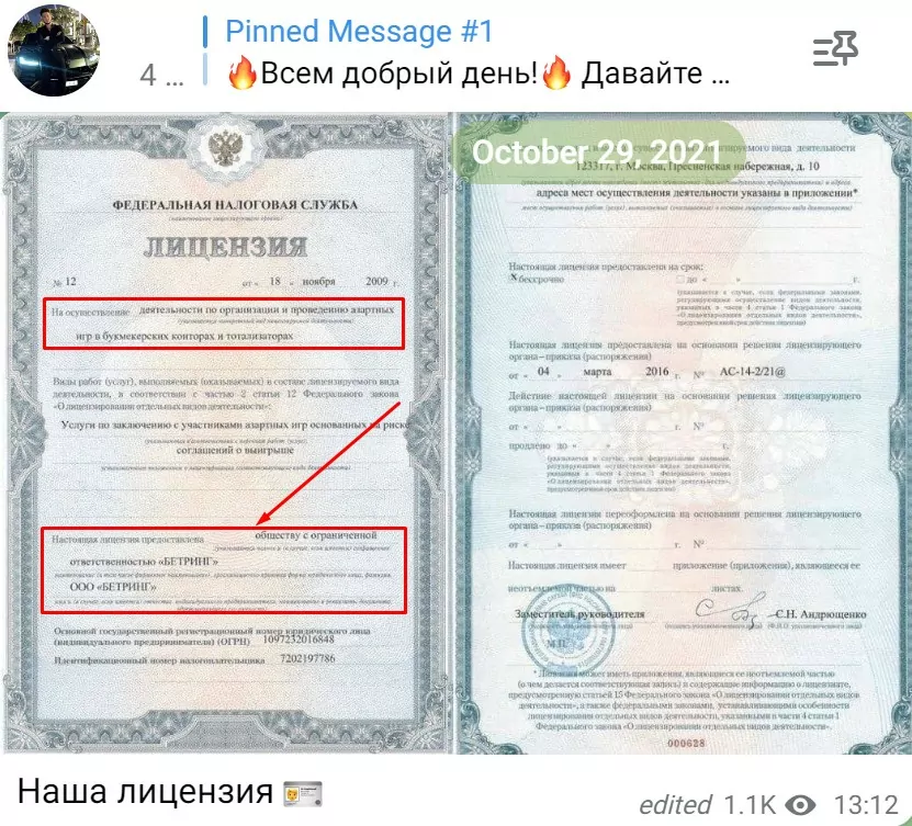 Помощь от Никиты проект лицензия