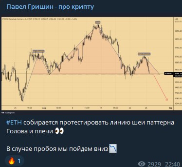 Павел Гришин проект