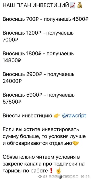 Raw Cript план инвестиций