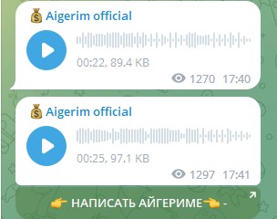 Проект Aigerim Official