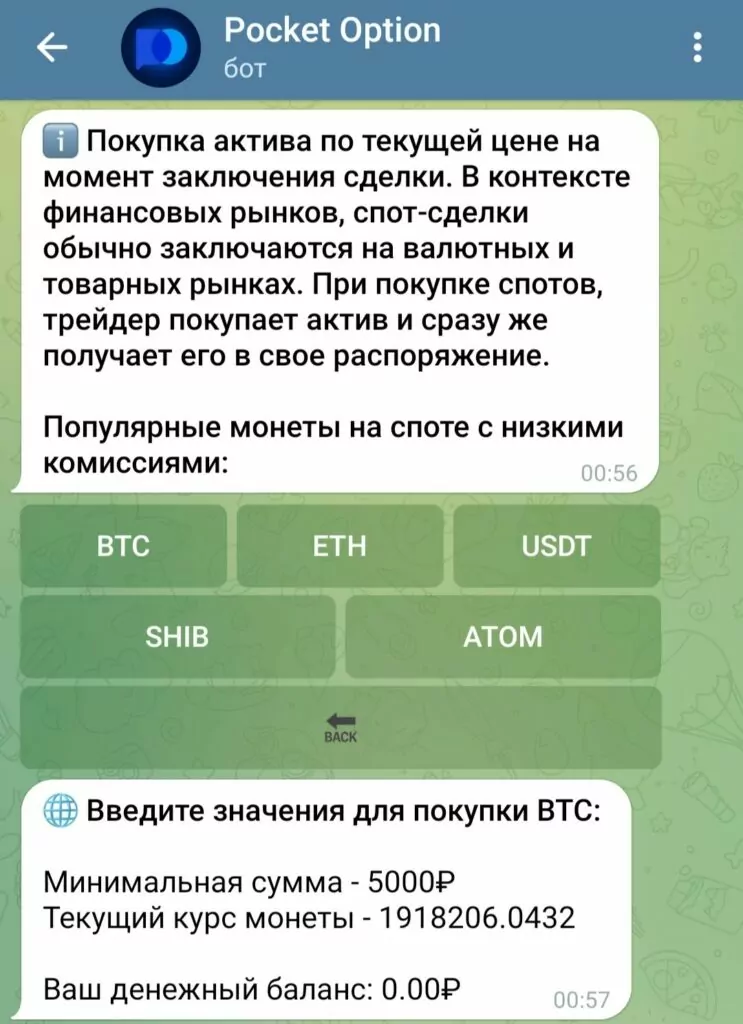 Телеграм Pocket Option Bot обзор