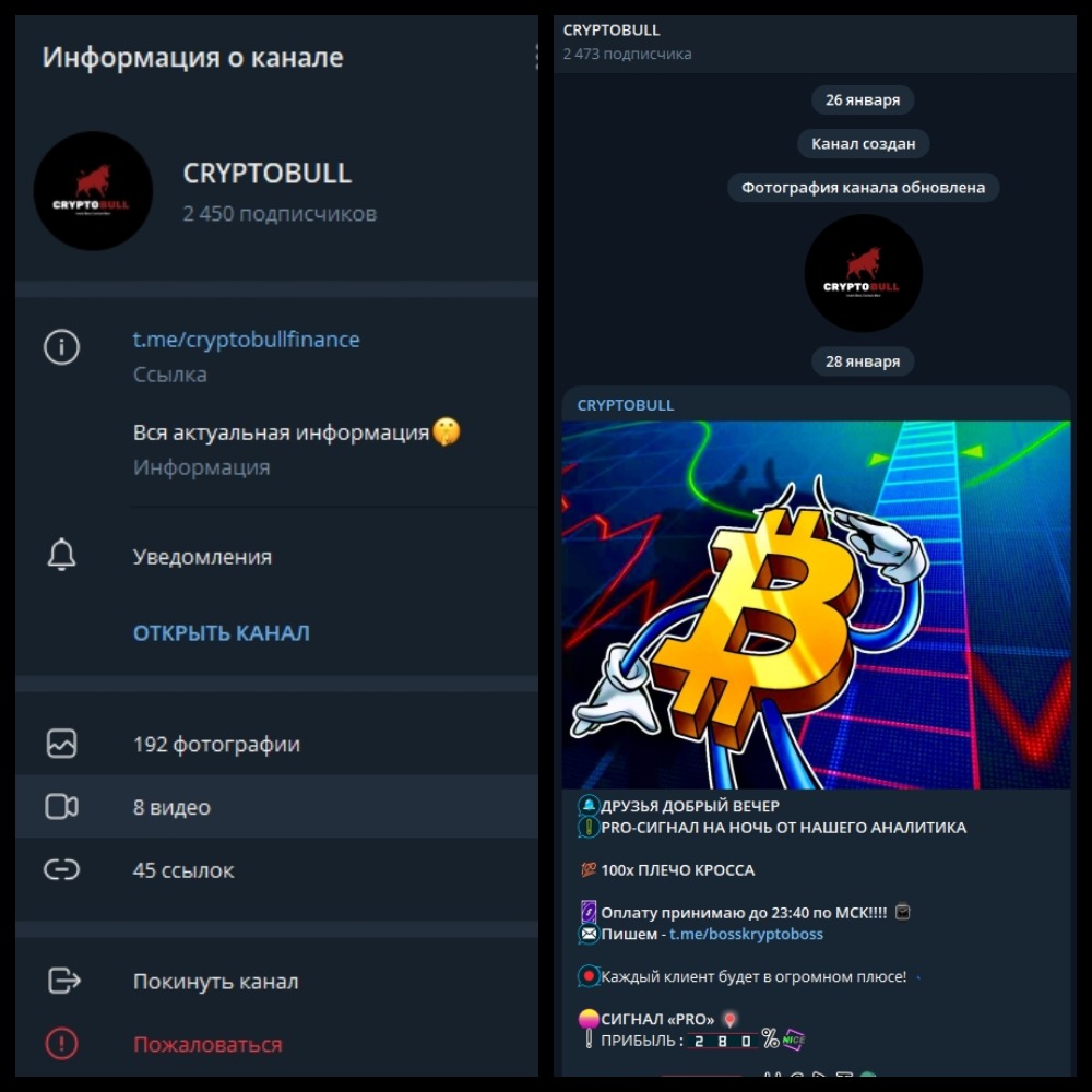 Информация о канале Сrypto Вull