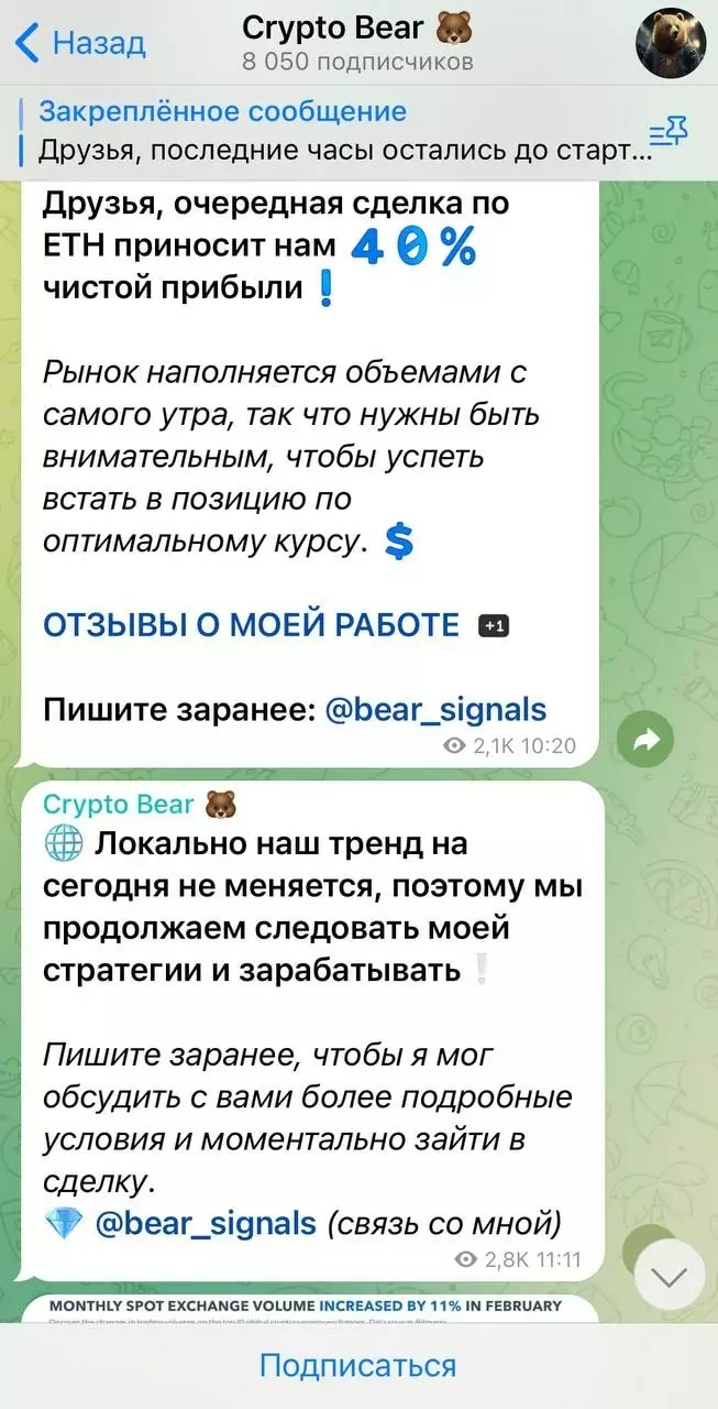 Сrypto Bear отзывы