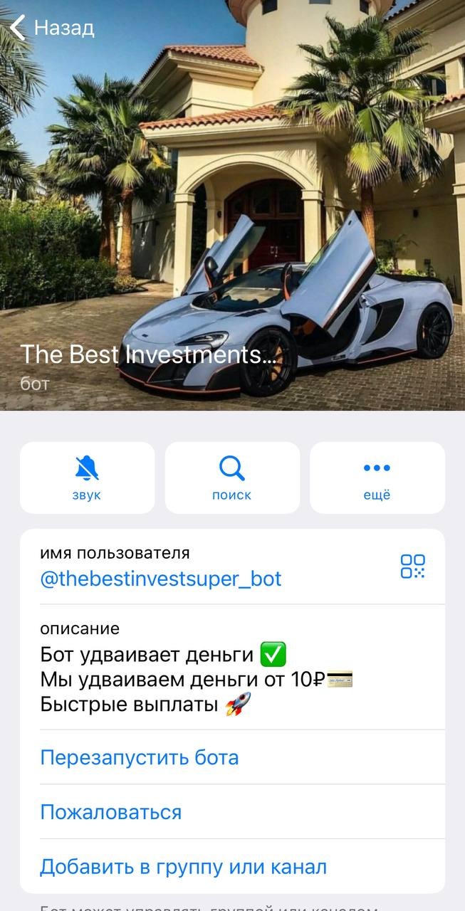 Тг канал Bot Thebestinvestsuper