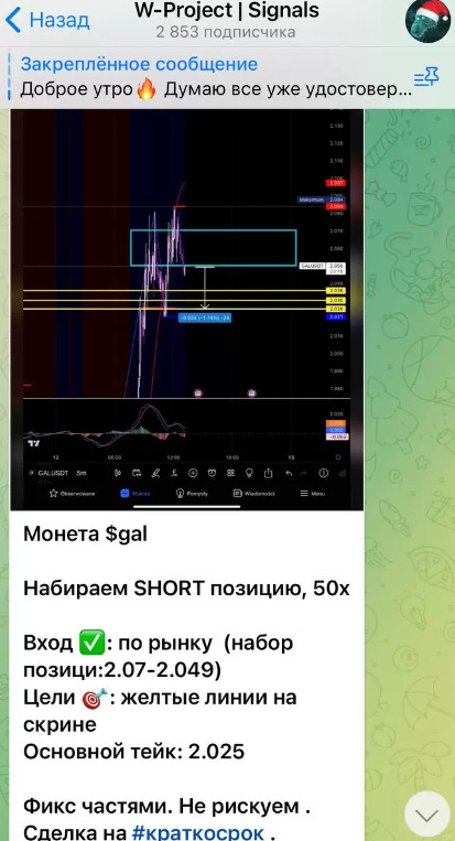 Предложения для инвесторов на канале W Project Signals