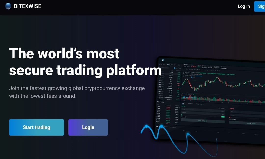 bitexwise отзывы
