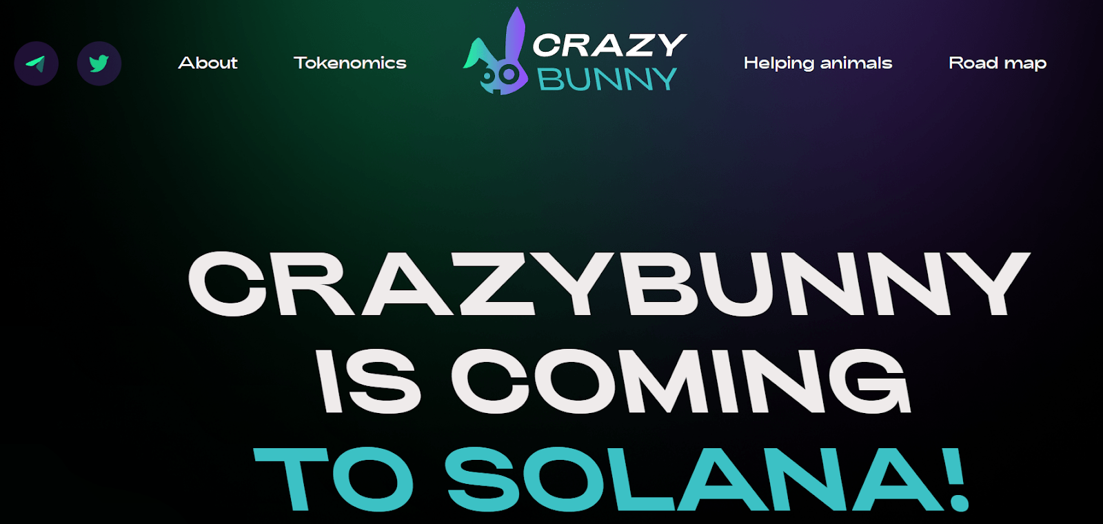 crazy bunny sol