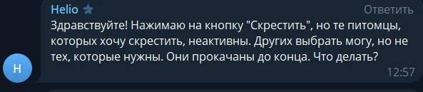 gatto игра бестиарий gatto игра бестиарий