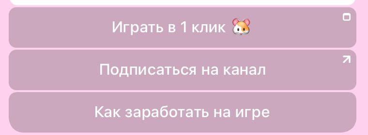 hamster kombat bot скам