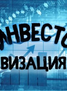 Инвестовизация