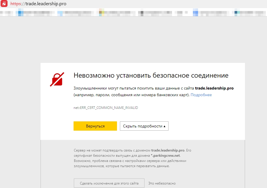 лидершип про