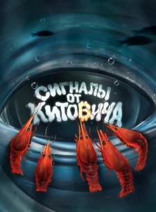 Сигналы От Китовича