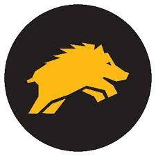 Warthog Coin