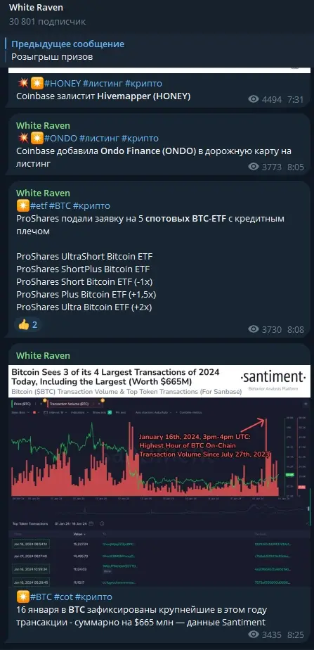 White Raven btc White Raven btc