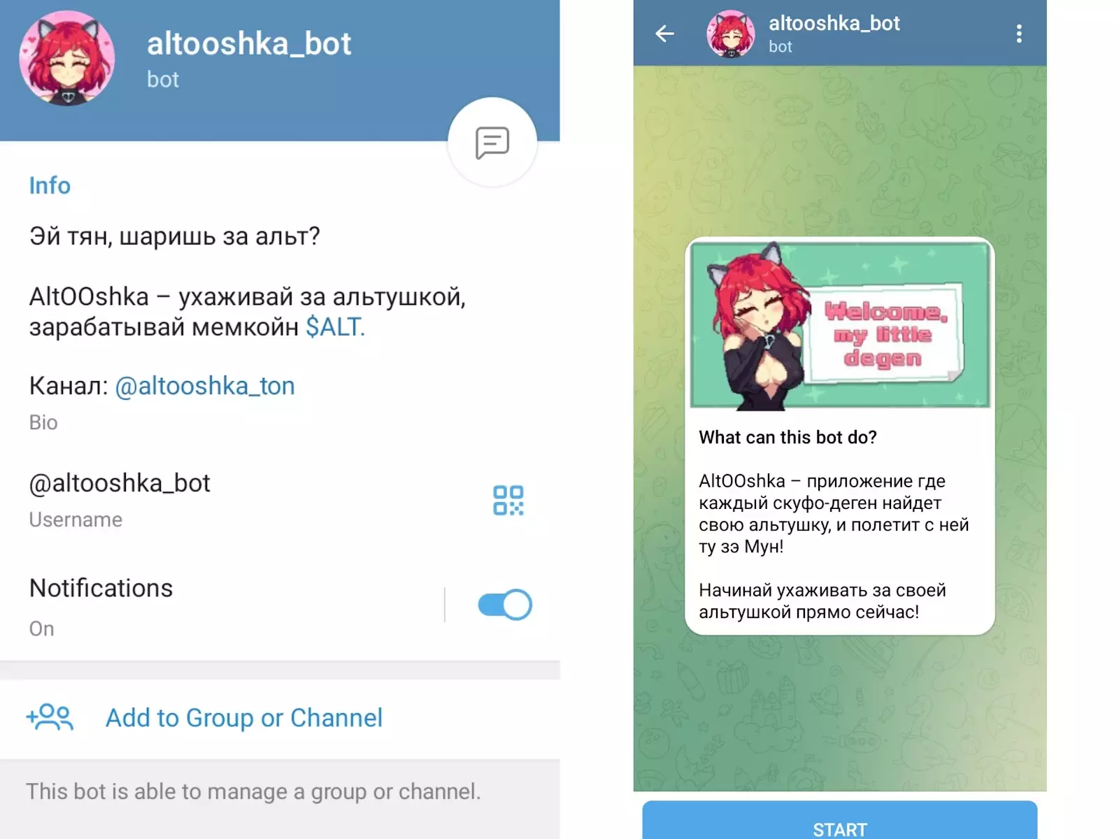 altooshka altooshka