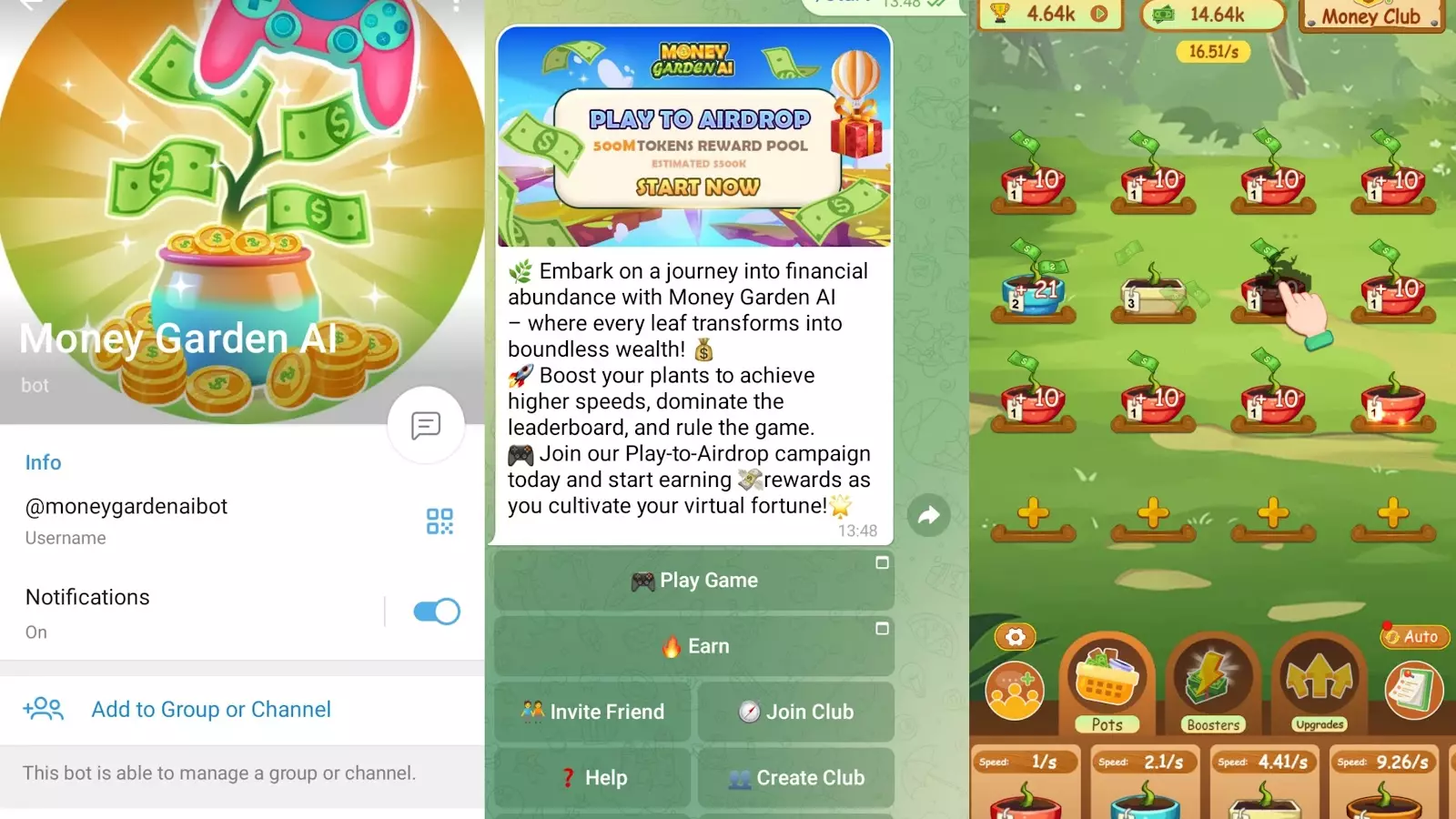 money garden money garden