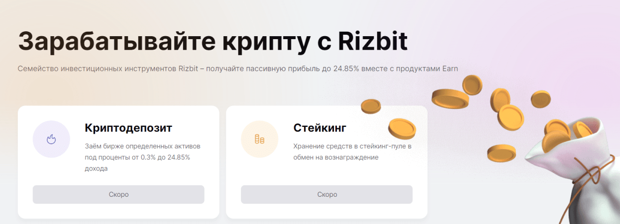 rizbit отзывы