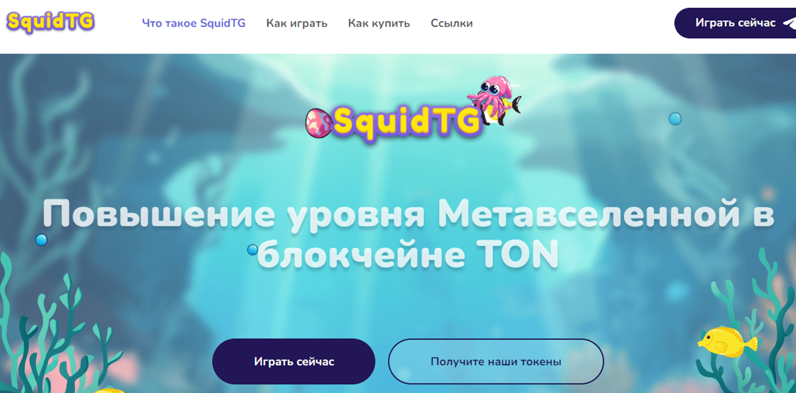 squidtg